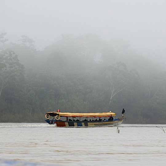 Viaje en bote por río tambo