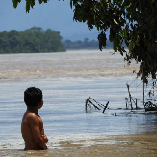 Viaje en bote por río tambo