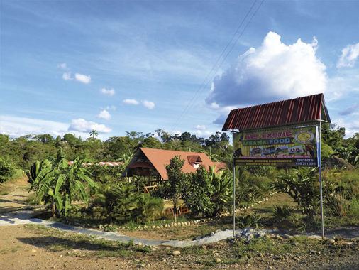 Restaurante Meana Food Pangoa