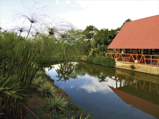Restaurante  Meana Food Pangoa