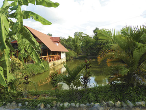 Restaurante Meana Food Pangoa