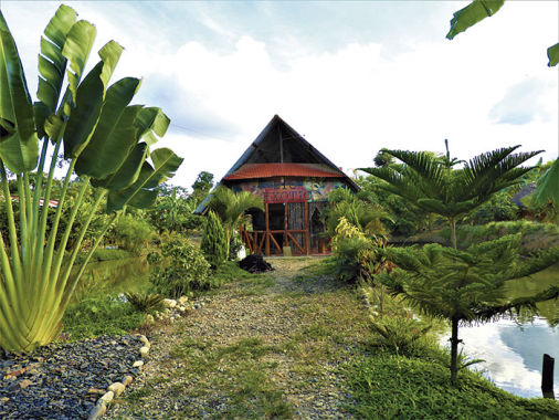 Restaurante Meana Food Pangoa